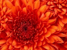 test test_name